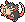020-AlolanRaticate.png